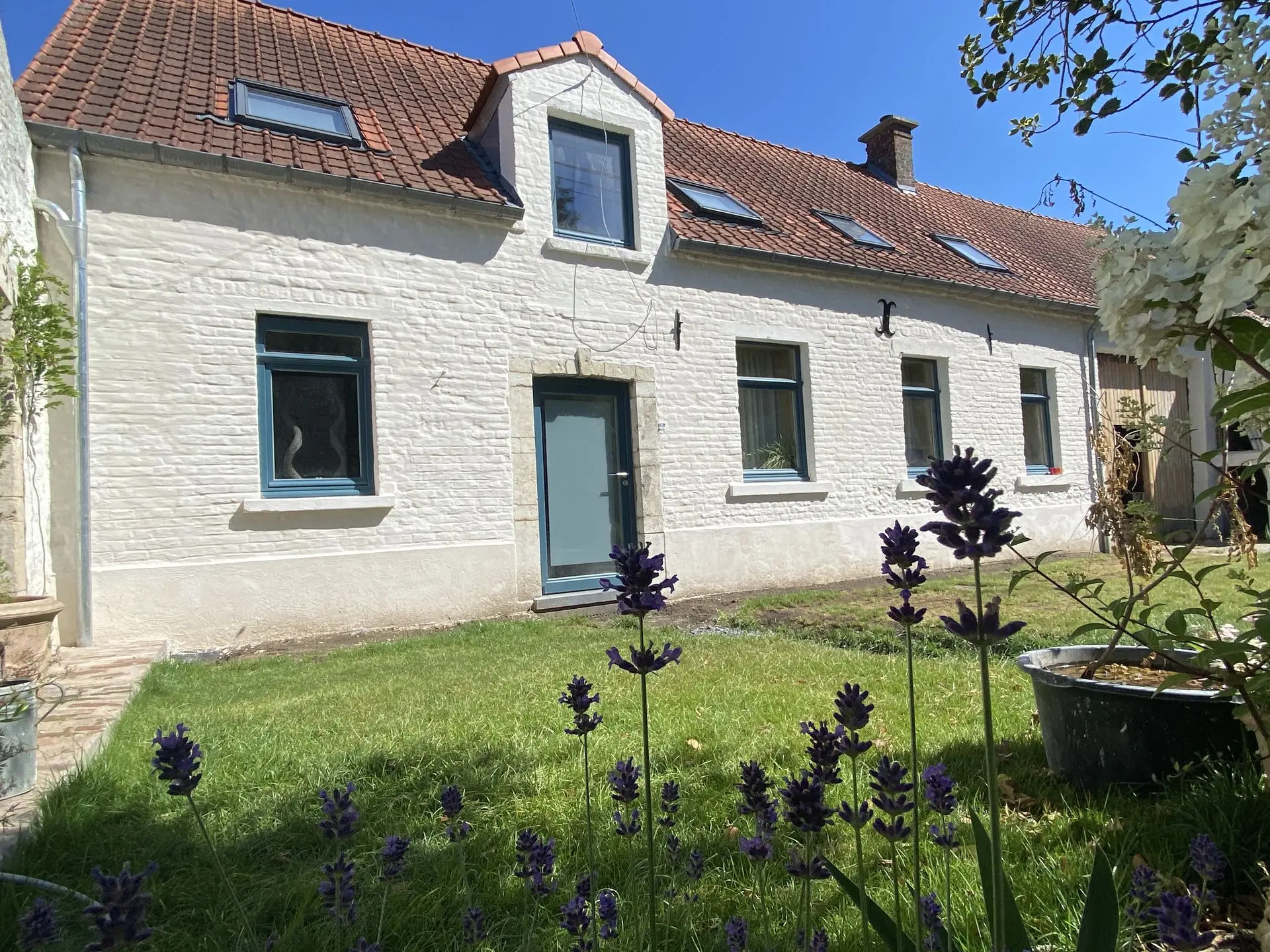 Maison avec mortier d'assainissement et chaulage